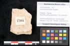 Foto (Objekt + Etikett) von Araucaria sternbergii Goeppert (NHMW-GEO-2024-0188-8304)